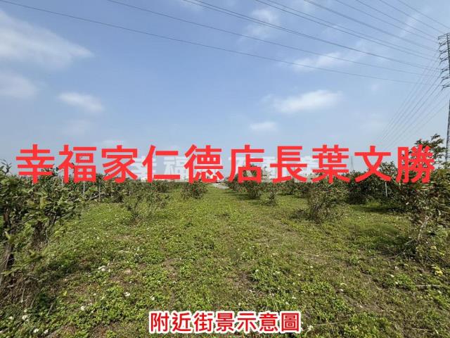 鹽水農地-1