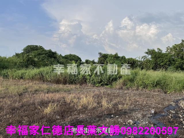 善化農地-14