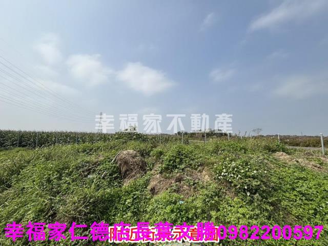 鹽水農地-10