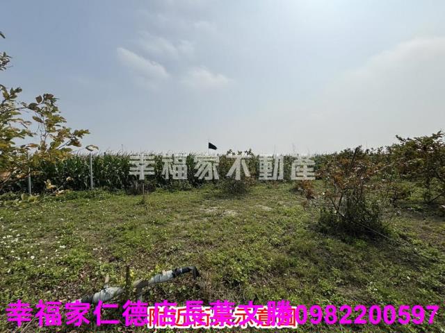 鹽水農地-12