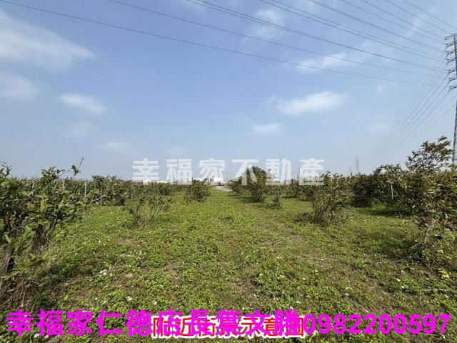 鹽水農地-1