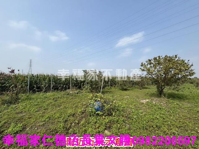 鹽水農地-2