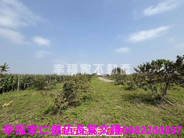 鹽水農地-7