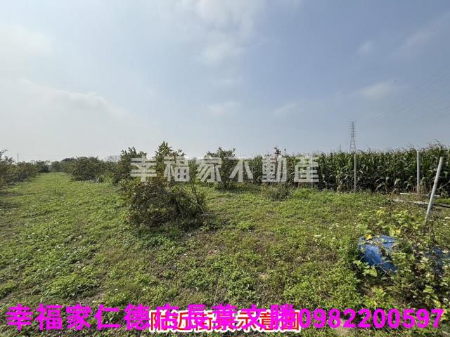 鹽水農地-9