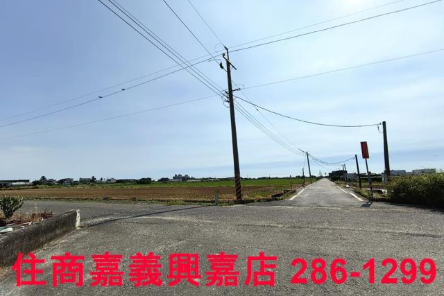 水上農地-1