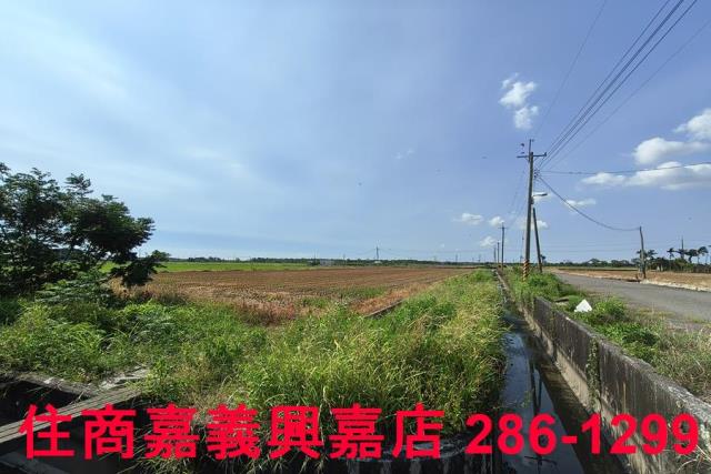 水上農地-2