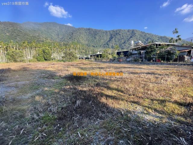 埔里農地-6