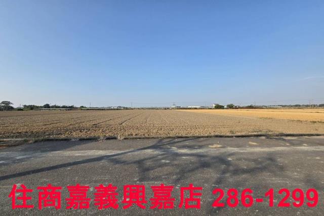 大林農地-6