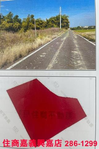 台南農地-1