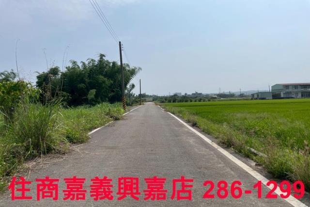 台南農地-2