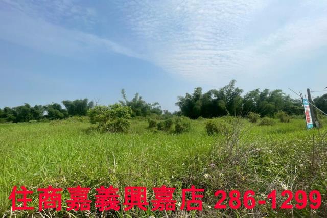 台南農地-6