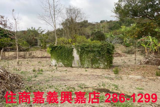 嘉義中埔農地-9