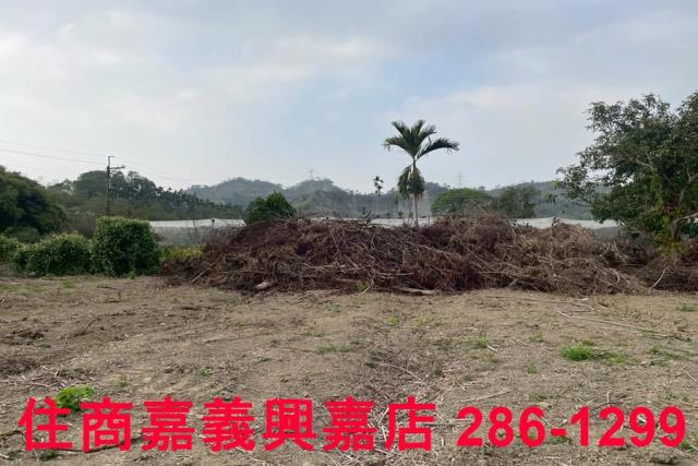 嘉義中埔農地-10