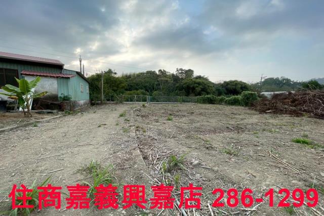 嘉義中埔農地-4