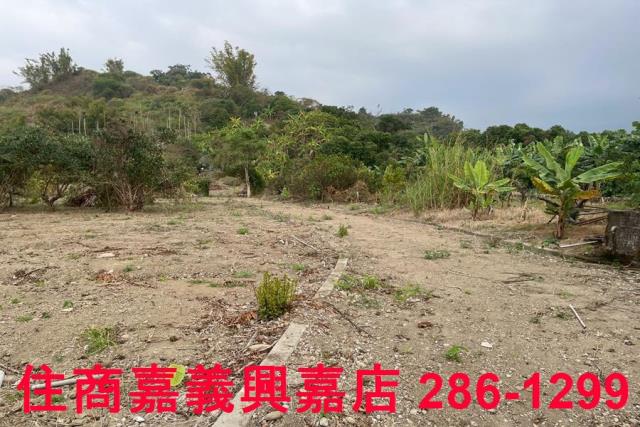 嘉義中埔農地-7