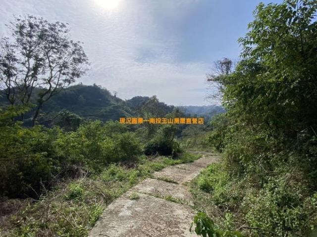 南投中寮農地-1