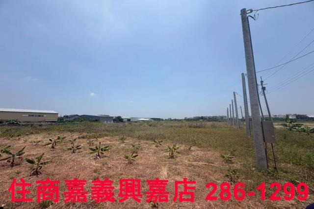 嘉義太保農地-5