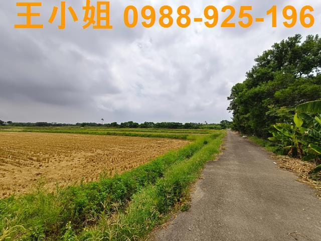 桃園楊梅農地-1