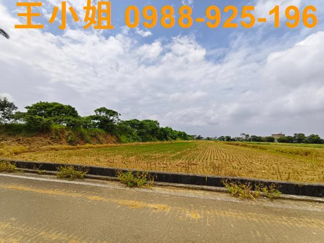 桃園楊梅農地-8