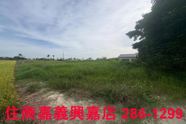 嘉義水上農地-8