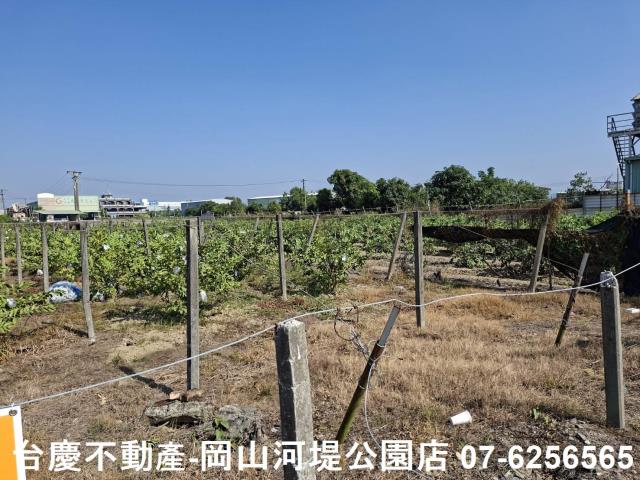 高雄大社農地-6
