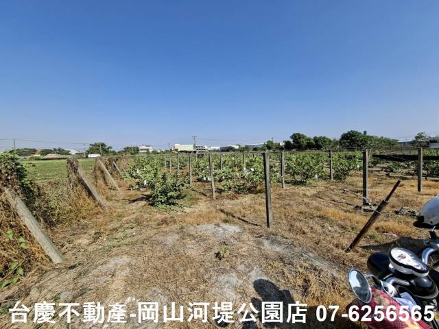 高雄大社農地-1