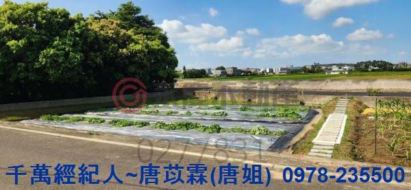 新竹湖口農地-7