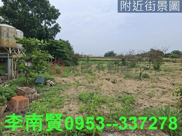 新化農地-2