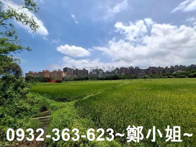 蘆竹農地-3