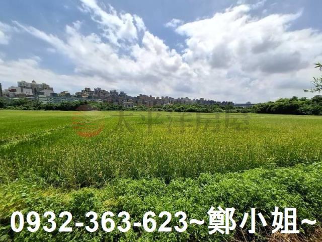 蘆竹農地-4