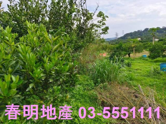 峨眉農地-7