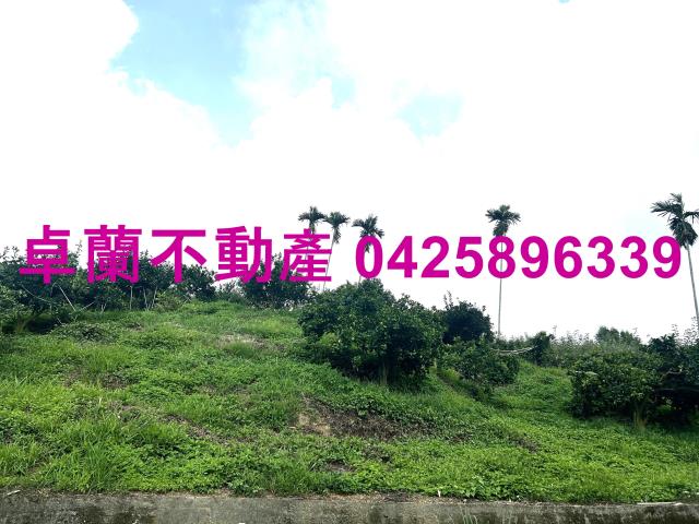 卓蘭農地-1
