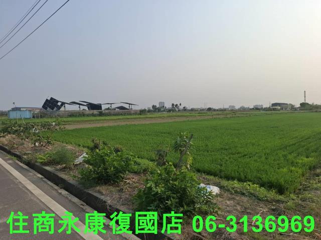 善化農地-7