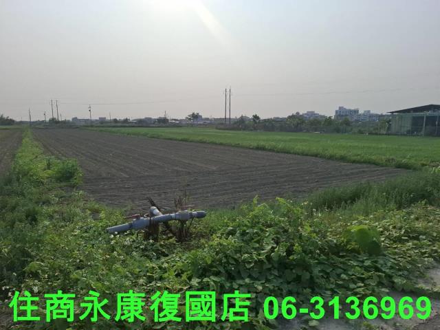 善化農地-8