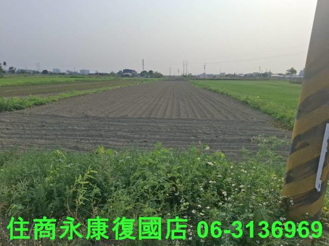 善化農地-9