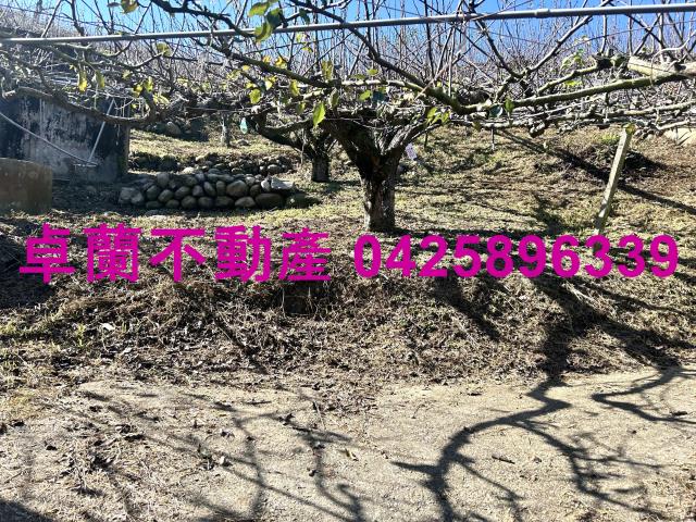 苗栗農地-12