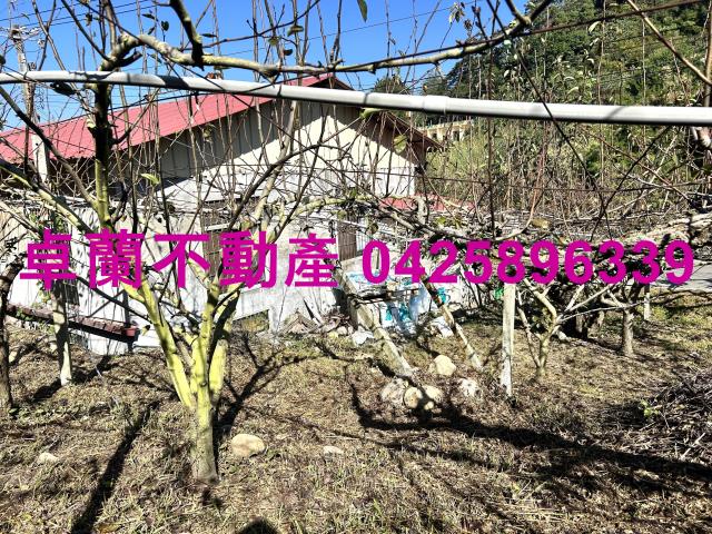 苗栗農地-2
