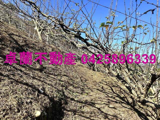 苗栗農地-6