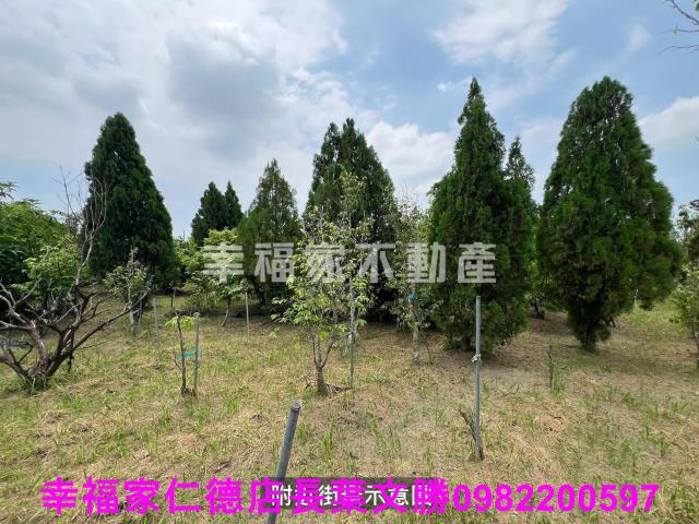 台南新化農地-15