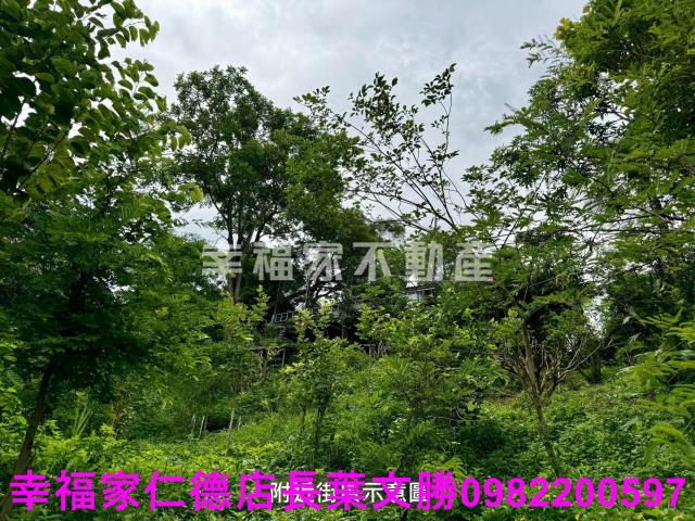台南新化農地-3