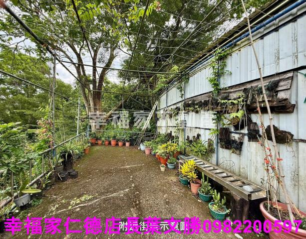 台南新化農地-4