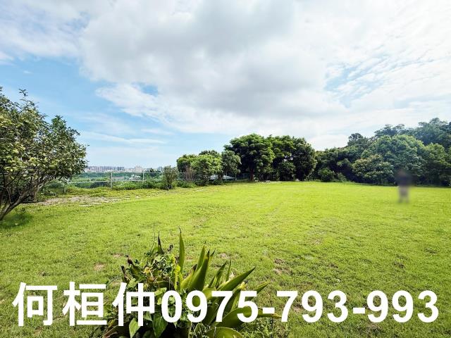 頭份農地-2