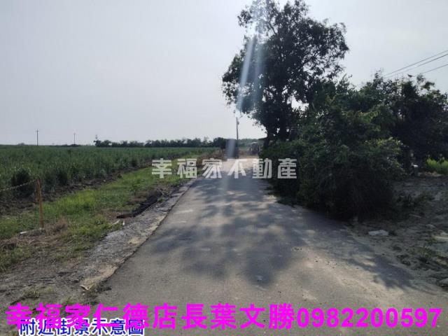 台南農地-5