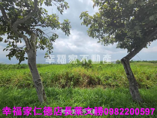 台南七股農地-9