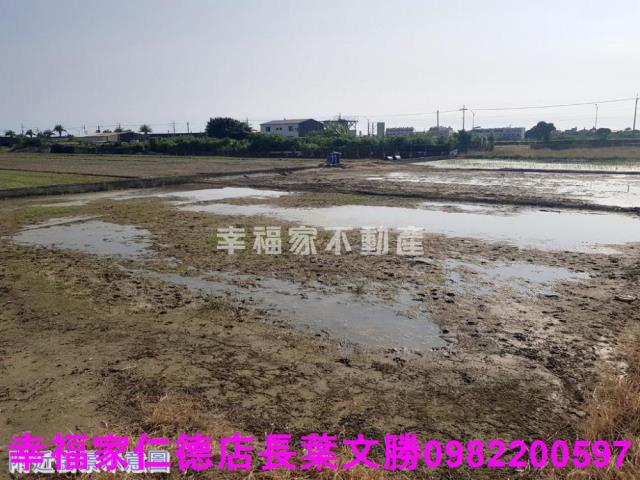 台南農地-2