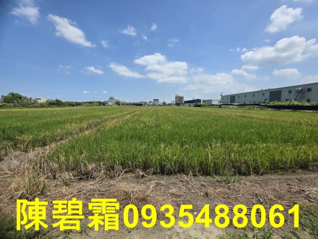 台南歸仁農地-5