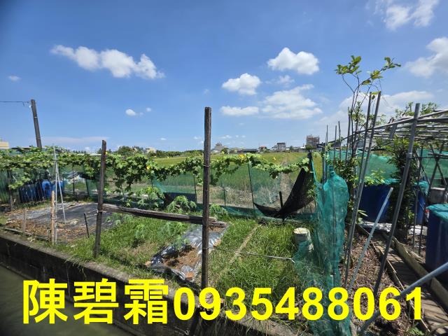 台南北區農地-3