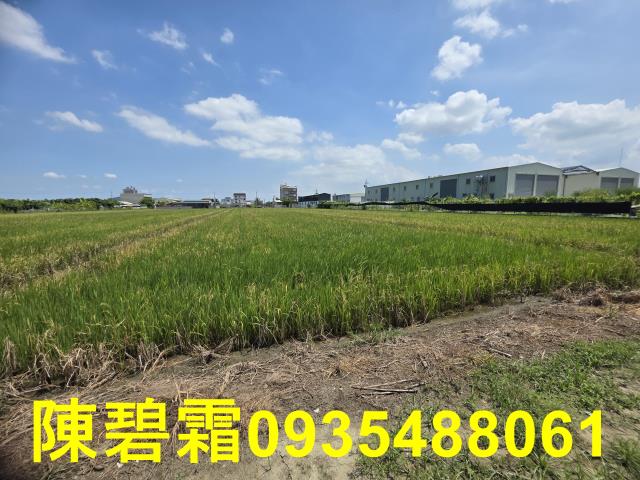 台南北區農地-6