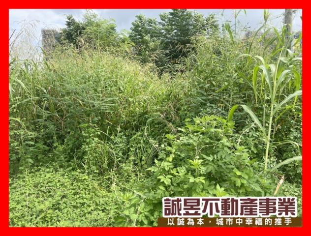 台南永康建地-6