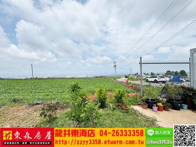 台中沙鹿旱-1